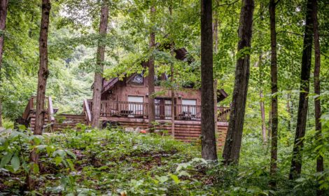 Red Hickory Cabin